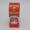 Chlorpheniramine Expectorant Syrup 100ml (Nicof)