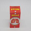 Chlorpheniramine Expectorant Syrup 60ml (Nicof)