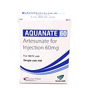 Artesunate 60mg Injection Ampoule (Aquanate)