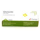Gliclazide 80mg Tablets (Flamingo)