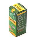 Cough Expectorant 60ml (Kofgon)