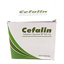 Cefalexin 500mg Capsules (Cefalin)