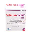 Amoxicillin/Clavulanate Potassium 1.2g Injection (Clamoxin)