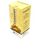Vastamin 100ml Syrup (Sphinx) 