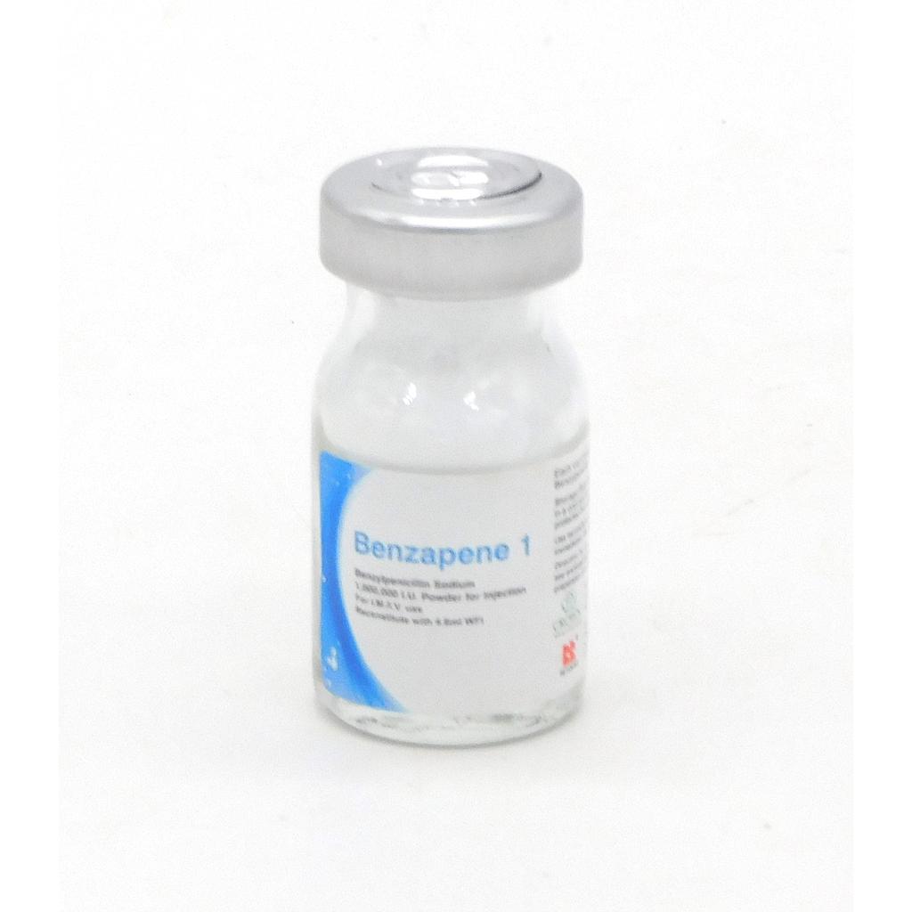 Benzylpenicillin 1M Xpen (Benzapene)