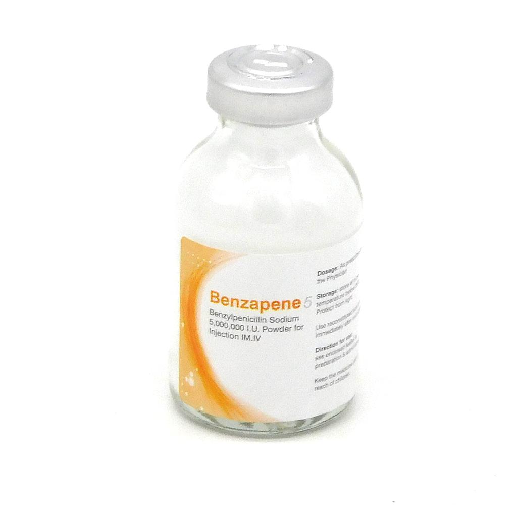 Benzylpenicillin 5M Xpen (Benzapene)