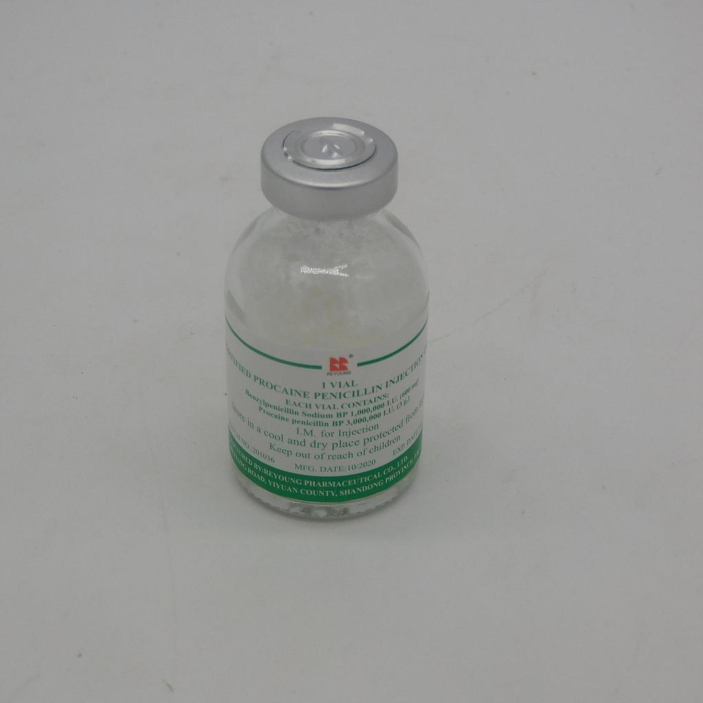 Procaine Penicillin Injection Vial (Reyoung)