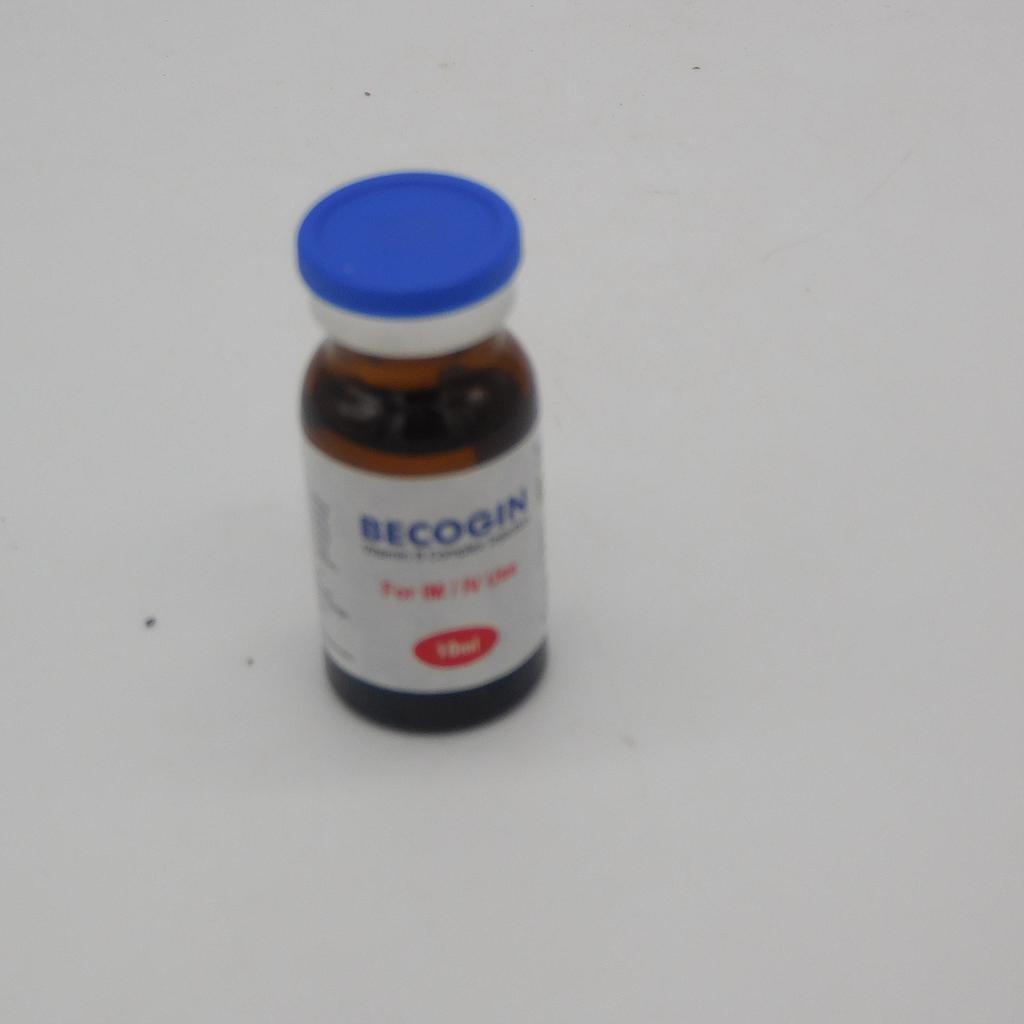 Vitamin B Complex Injection 10ml Vial (Becogin)