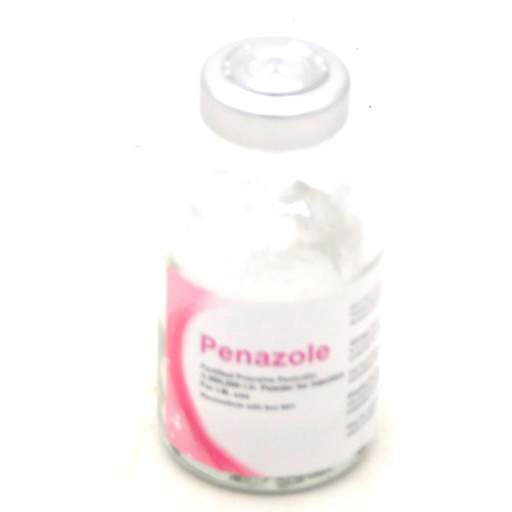 Procaine Penicillin Injection Vial (Penazole)