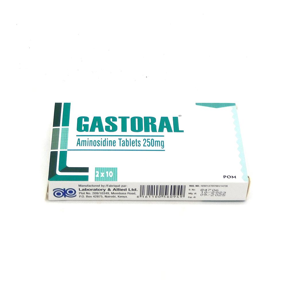 Aminosidine 250mg Tablets (Gastoral)