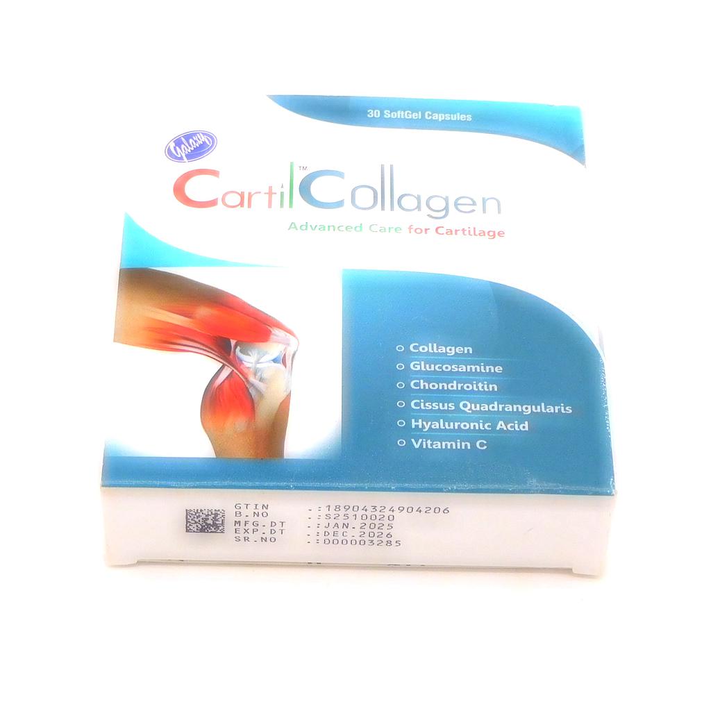 Collagen/Glucosamine/Chondroitin/Hyaluronic acid (Cartil Collagen) 