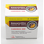 Amoxicillin 500mg Capsules (Caremox-500)